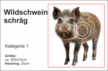 Wildschwein schräg